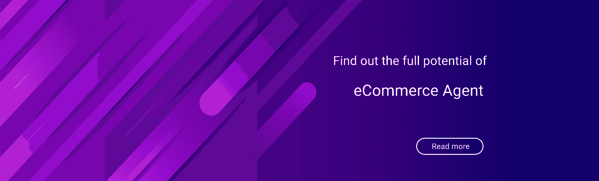 Find out our ecommerce agent